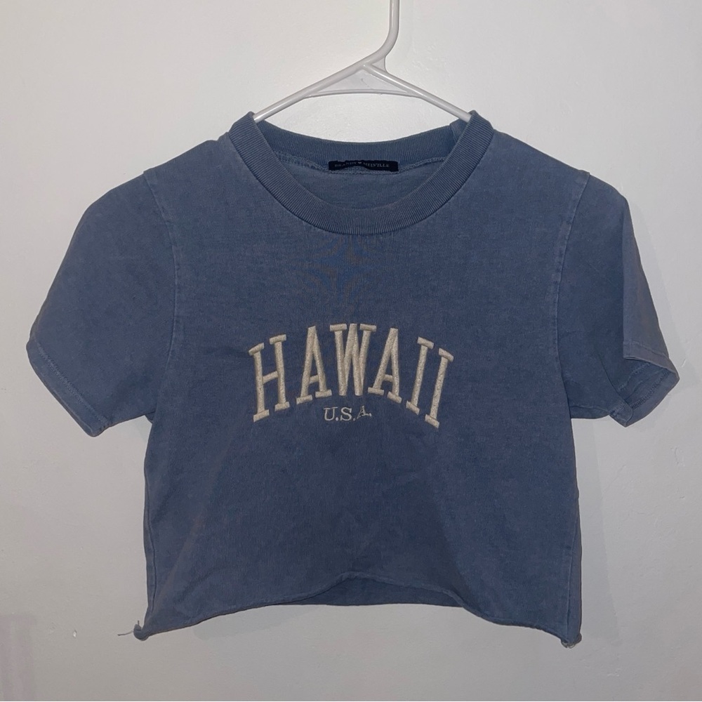 Brandy Melville Crop Top